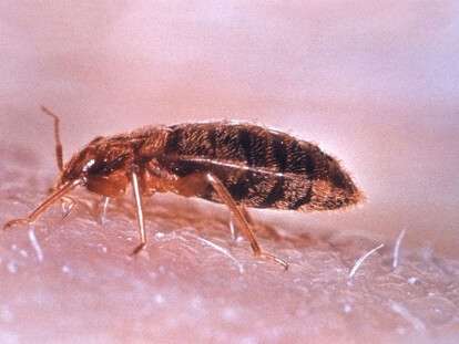 81727516_2581557625457451_5277551750562185216_o