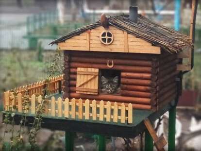 domik-600x430