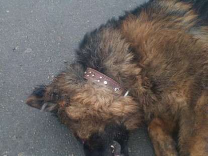 82652351_683673368834772_3104911040295469056_n