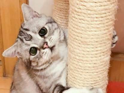 bb2b53da7e6f63284a4d23151fc6f06c