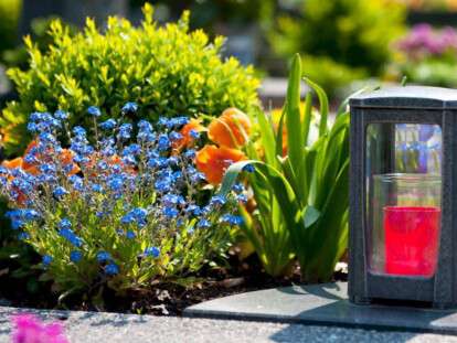 29542035_2067332090210330_8740940270265885700_n-42-1024x576