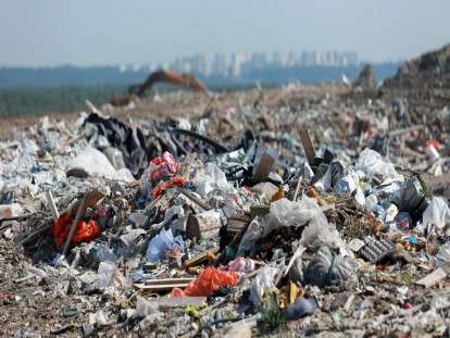 Старые стенды, доски и ящики: В Днепре возле школы устроили настоящую свалку (Фото)