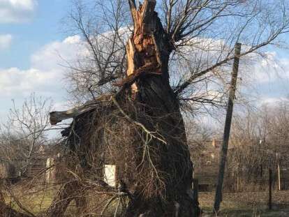 87758621_10206913517034165_3389302188130959360_n