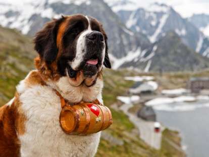 4ae9f1a12c924a063d38ff4d41e28f4a