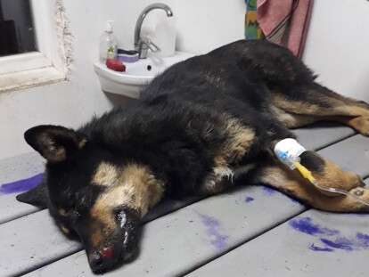 89090256_801408643684898_5027093013323579392_o