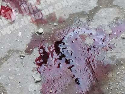 050320-krovishcha-1583413996-8LytI