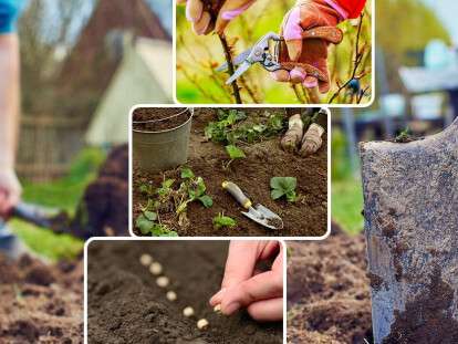 images_cms-image-000057753