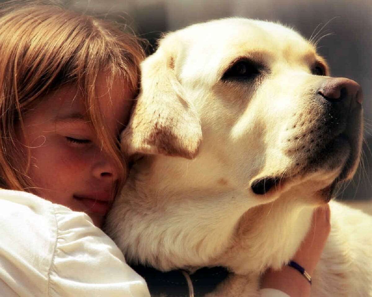 Твою любимую собаку. Лабрадор ретривер с детьми. Собака друг человека. Любовь к животным. Собака - лучший друг.