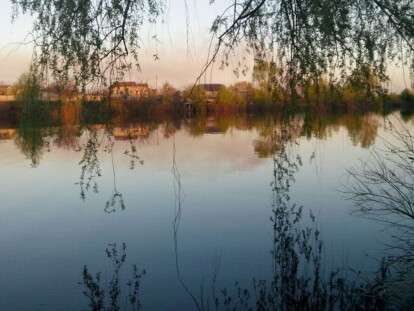 prodam-dachu-sadovoe-obshchestvo-orel-photo-88d5