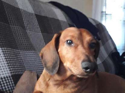 DAA6782F-2150-4592-842C-065A1B650BC1