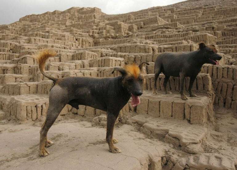 peru