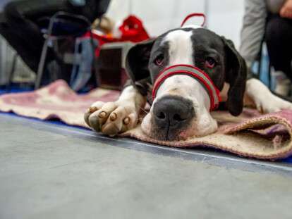 завантаження