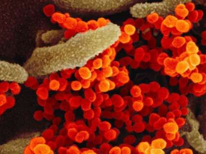 bd8a0d981879b05e93e5d031d1547709