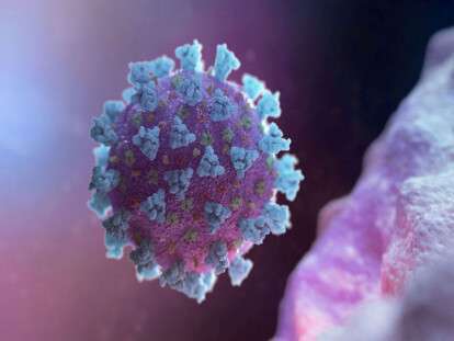 upload-2020-02-18t205109z_1645409347_rc243f9ecyr0_rtrmadp_3_china-health-pic905-895x505-53077