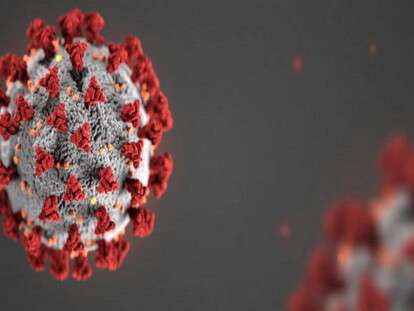 thumbnail-tw-20200227113919-7583