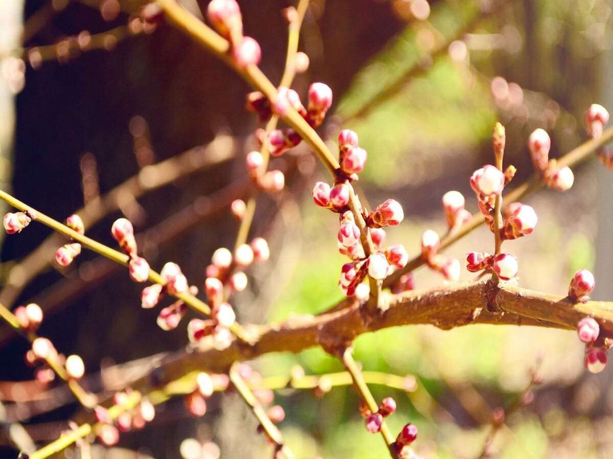 Идет мощная апрельская жара: синоптик предупредила о резкой смене погоды на Благовещение