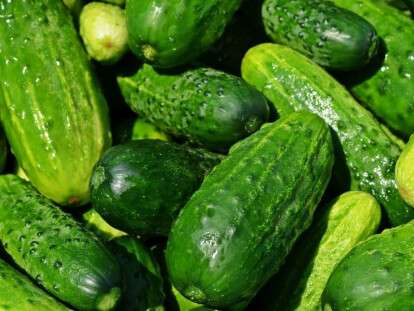 285de012447cf94-5d4fac5c9ee2d-------------_crop_1200