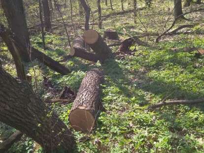 92658432_2517238665257938_2644147485651501056_o