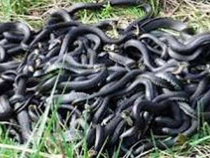 Без названия