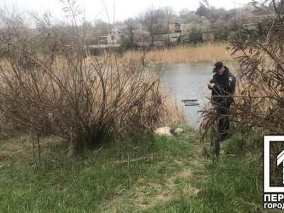 photo_2020-04-14_19-06-03