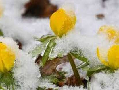 загружено (2)