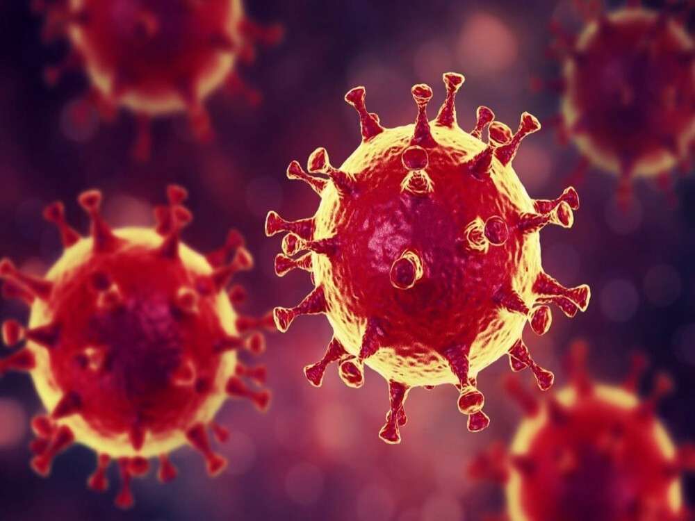 В Турции прошли успешные испытания вакцины от коронавируса