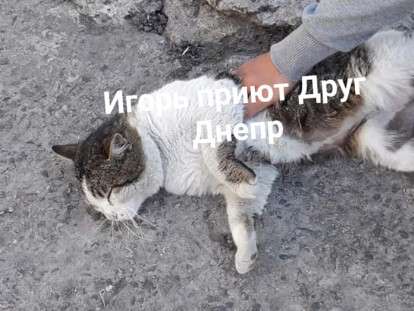 94252563_2671474052981196_3783015779956424704_n