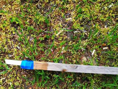 94747361_249546046455613_2418111719164346368_n