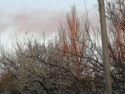 93888732_1116415805362293_264210565390401536_n