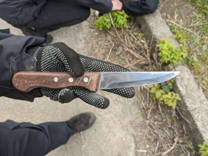 94031191_2345742205718381_7717672604433121280_o