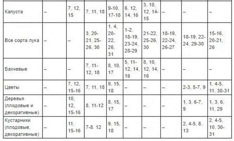 Посевной календарь на 2020 по месяцам. Можно ли сажать рассаду в четверг 20 мая 2021.