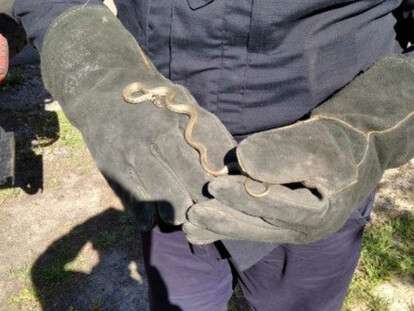 494683_fc90c6a5411c65b1b8c0d1780e2ead33473388_024e9c914831b88954d30fb7d5fa87e21588143195