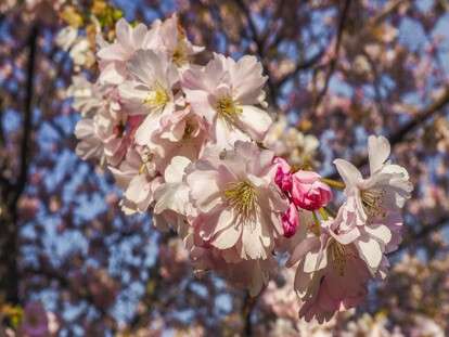 5 мая - Международный день борьбы за права инвалидов