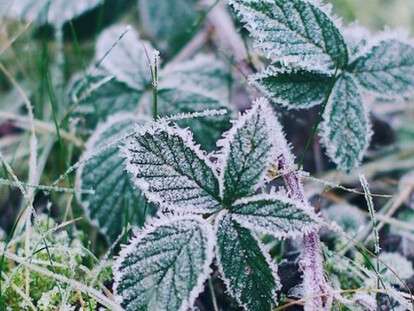 thumbnail-tw-20190402182331-3011