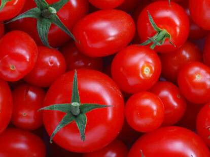 picture2_pochemu-v-ukraine_338439_p0