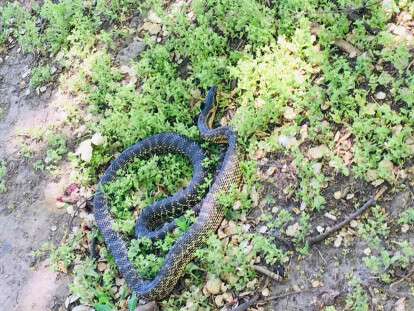 97006431_3137742019644877_8576900405638725632_n