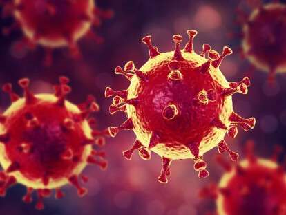 picture2_koronavirus-poluc_364604_p0