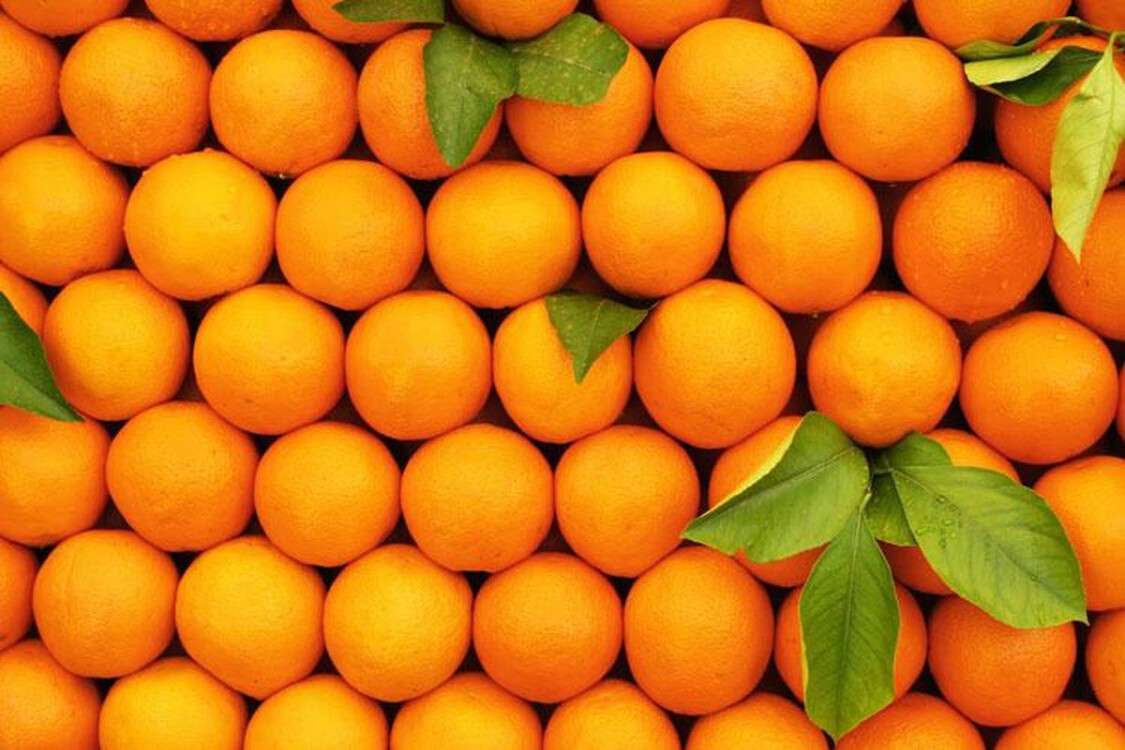 big_0Oranges261112