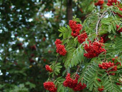 fixed_large_0545080b-0de9-4d98-ba4e-58ff2357ed69