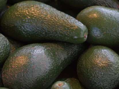 avocados-318198_1920_1580308082-e1580308130122-630x315