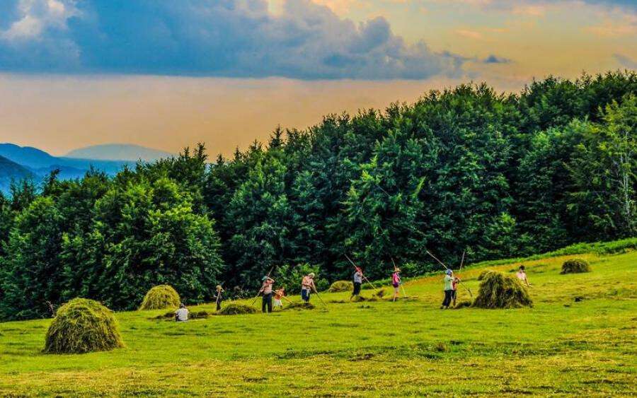 ukraine-forests-grasslands-zakarpattia-hay-540874-2048x1152-1