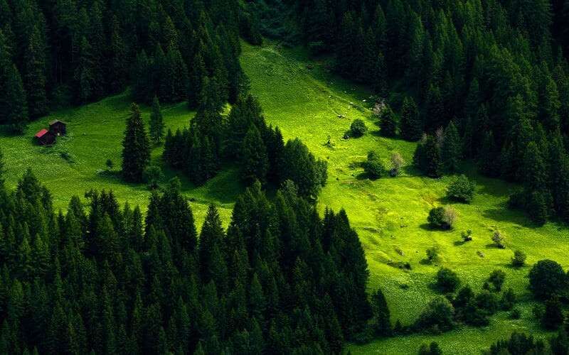 earth-nature-forest-20948