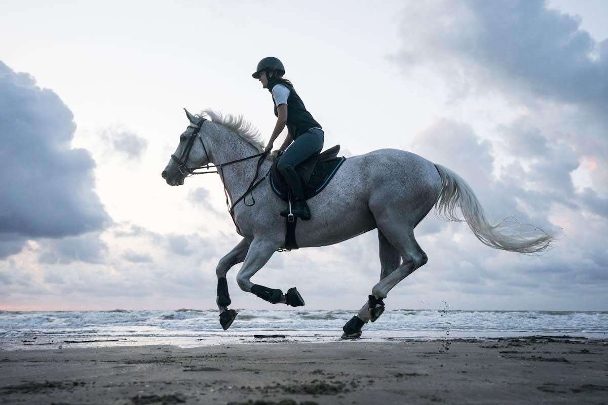 horse_riding_11-1