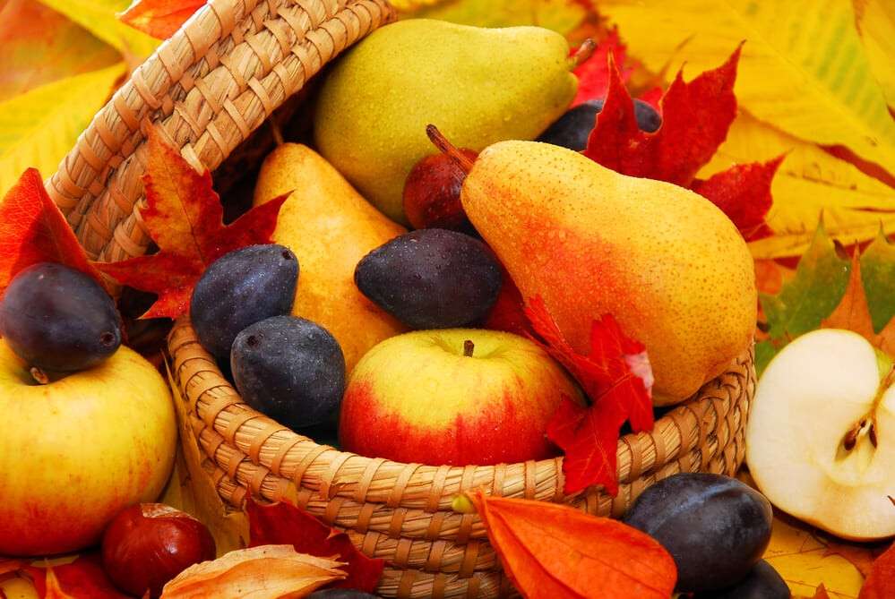 basket of autumn fruits