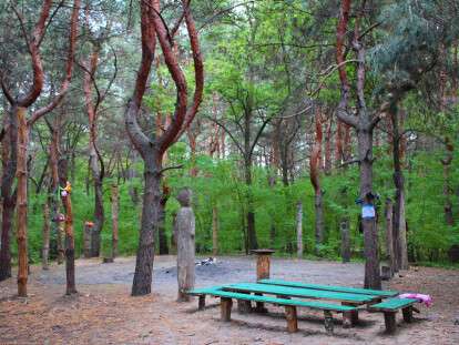 img_4190_web_201310-103929