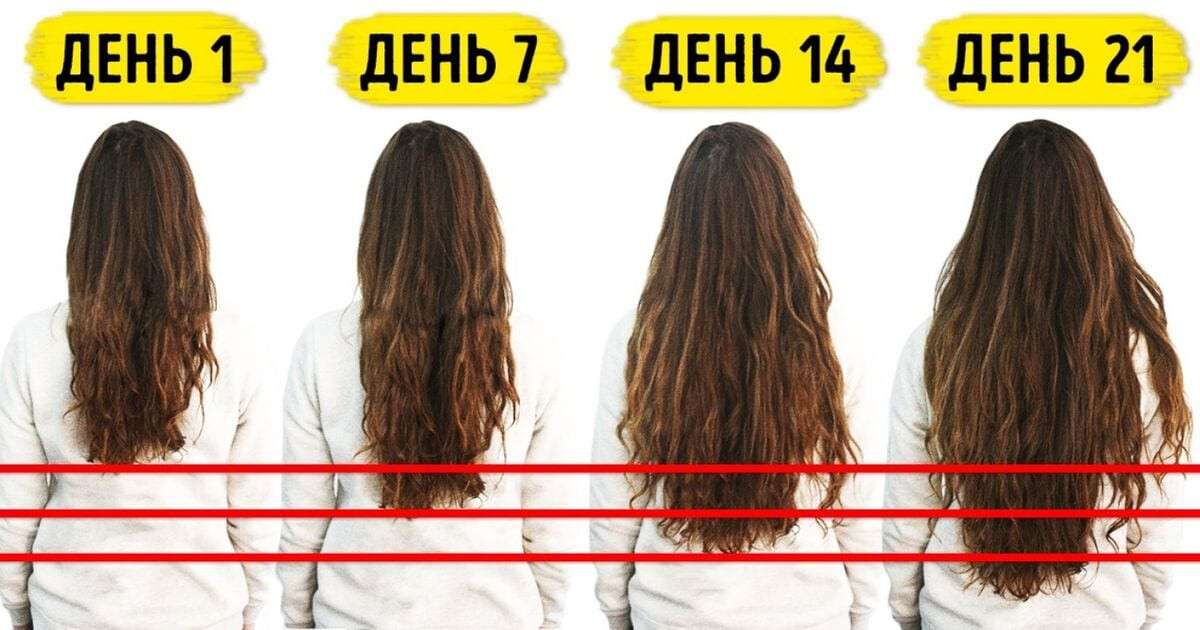 Как быстро отрастают волосы и как ускорить их рост: советы эксперта |  новости Днепра | Дніпровська панорама