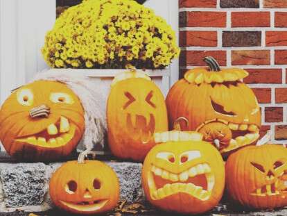 123490562_939049896622907_2326805827801324604_n