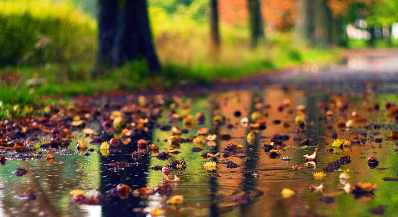 autumn-rain
