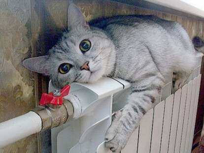 cSsvlAzSnVONoPyjlZTkoZ3VnmRbJzVk