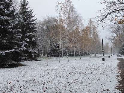 125522966_1942386769235518_3178873304274379757_o